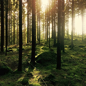 Entlastung der Grundwasserbilanz