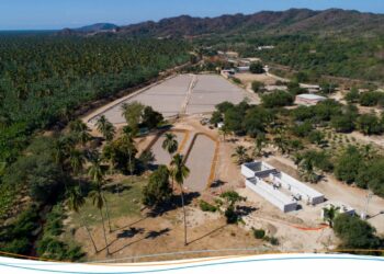 Pioniere der naturnahen Wasseraufbereitung