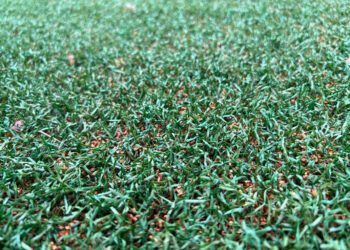 Entwässerungskonzept für Kunstrasen-Sportplatz