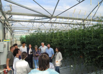 Versorgung sichern durch Wiederverwendung von Wasser