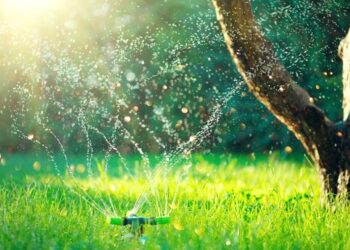 Startup optimiert Wassernutzung