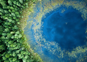 Weltweite Wasserkrise wächst