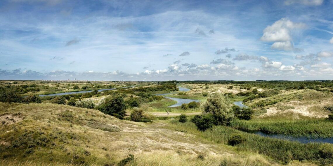Forderung nach strengeren PFAS-Grenzwerten