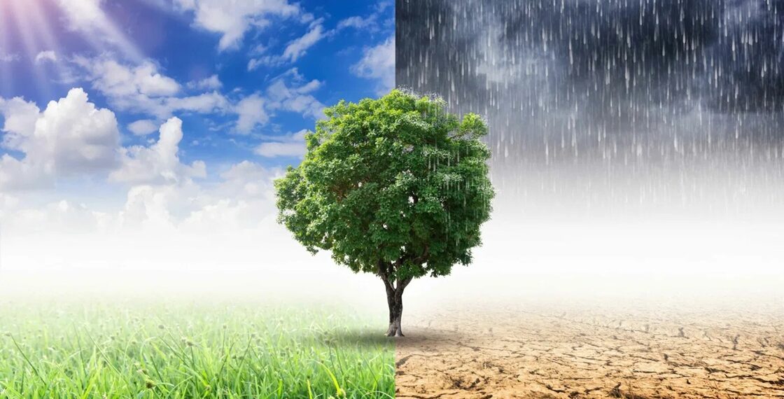 Ganzheitliches Regenwassermanagement