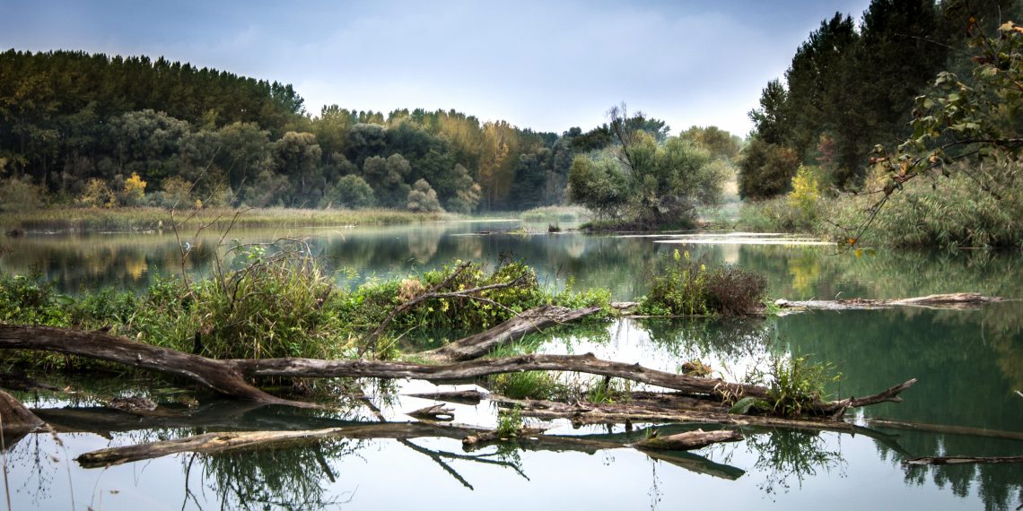 Binnen- und Küstengewässer zählen zu den Hotspots der Biodiversität.