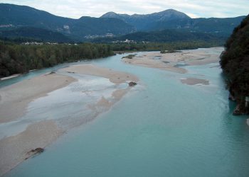 Der Tagliamento in Friaul, Oberitalien, ist einer der letzten Wildflüsse Europas. Bild: Christiane Zarfl