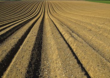 Dünger, Mittel, W&A Wasser Abwasser Technik