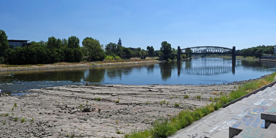 Elbufer bei Niedrigwasser am 24. Juli 2018 in der Nähe des Magdeburger Domfelsens. Bild: Michael Beyer, UFZ
