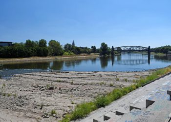 Elbufer bei Niedrigwasser am 24. Juli 2018 in der Nähe des Magdeburger Domfelsens. Bild: Michael Beyer, UFZ