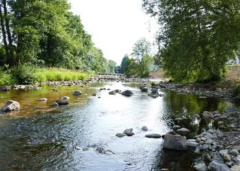 Extremwetter und Wassermanagement in Esslingen