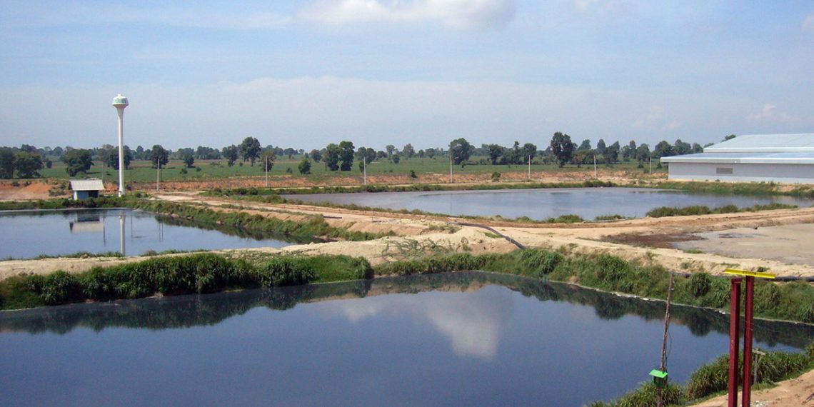 Biogasprojekt in Thailand