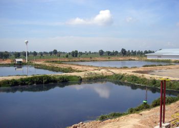 Biogasprojekt in Thailand