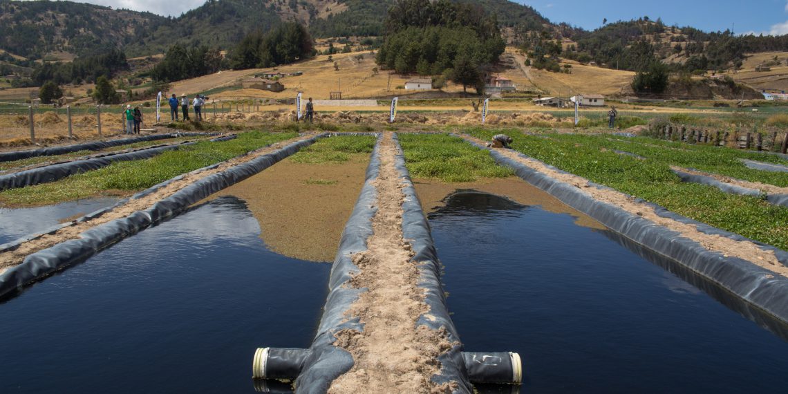 Wasserkanäle des Grünfilters in Cuítiva, Kolumbien Bild: GNF Archiv