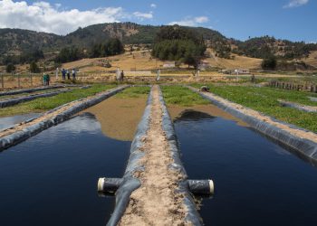 Wasserkanäle des Grünfilters in Cuítiva, Kolumbien Bild: GNF Archiv