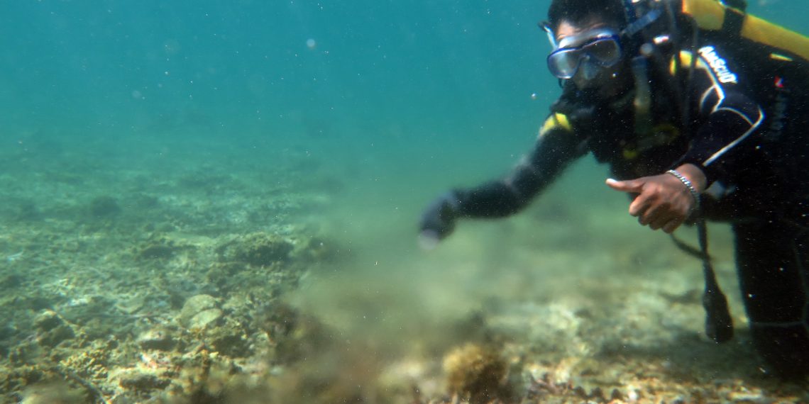Grundwasserquelle in einem Riff vor Lombok. (Bild: Imke Podbielski, Leibniz-Zentrum für Marine Tropenforschung)