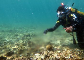 Grundwasserquelle in einem Riff vor Lombok. (Bild: Imke Podbielski, Leibniz-Zentrum für Marine Tropenforschung)