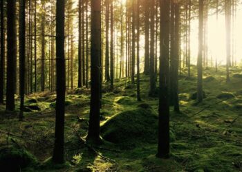 Entlastung der Grundwasserbilanz