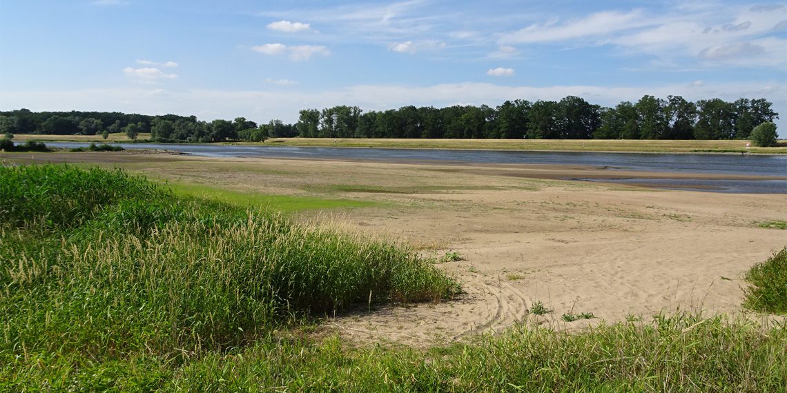 Elbe bei Schönberg im Juni 2018. (Bild: Matthias Koschorreck)