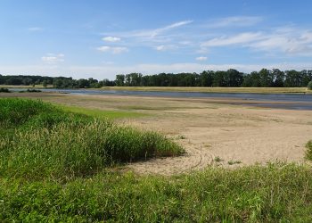 Elbe bei Schönberg im Juni 2018. (Bild: Matthias Koschorreck)