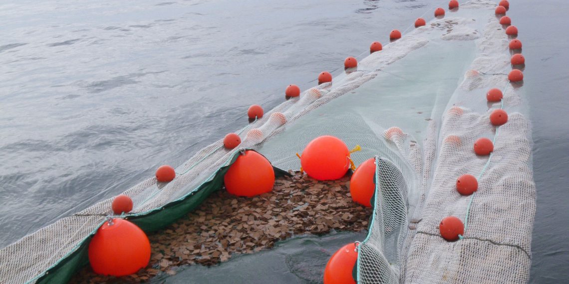 Ökologische Ölbinder. Bild: Holger Unbehaun