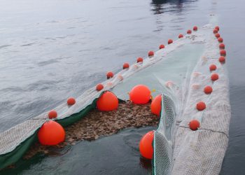 Ökologische Ölbinder. Bild: Holger Unbehaun