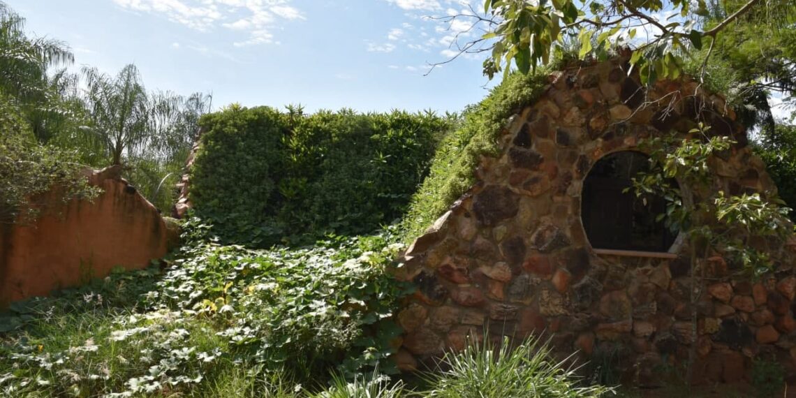 Nachhaltige Architektur mit Dachbegrünung und Wasseraufbereitung