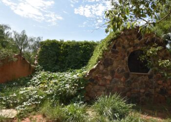 Nachhaltige Architektur mit Dachbegrünung und Wasseraufbereitung