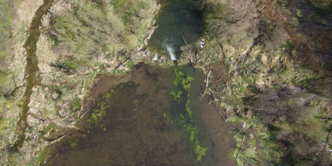 Luftaufnahme eines Biberdamms mit Staubereich im Bereich der Mündung der Dorfen in die Isar. Im flachen Gelände entstehen große Teiche. Bild: Hochschule Weihenstephan-Triesdorf