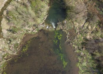 Luftaufnahme eines Biberdamms mit Staubereich im Bereich der Mündung der Dorfen in die Isar. Im flachen Gelände entstehen große Teiche. Bild: Hochschule Weihenstephan-Triesdorf