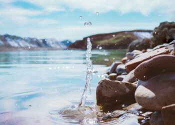 Technologien zur Entfernung und Detektion von Mikroplastik