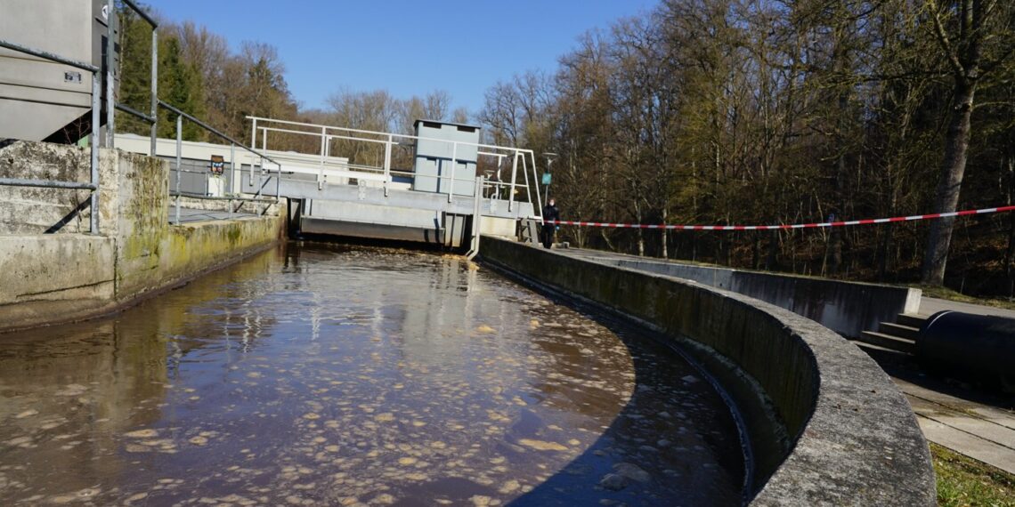 Rohstoffrückgewinnung und Klimaschutz aus Abwasser