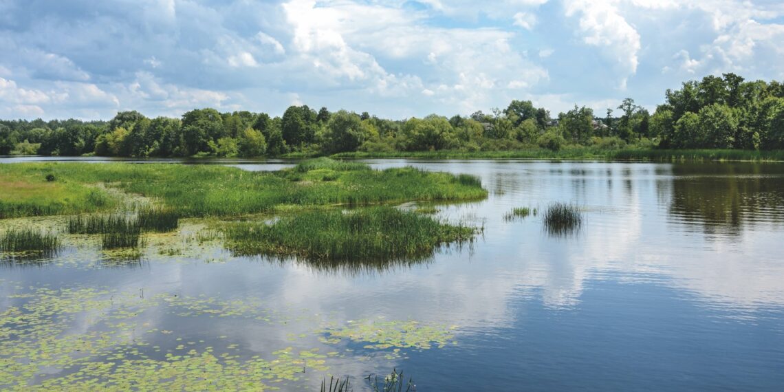 Gerüche und Faulgase bekämpfen