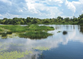 Gerüche und Faulgase bekämpfen