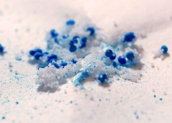 Symbolbild Plastikpartikel Thünen-Institut/Marc-Oliver Aust