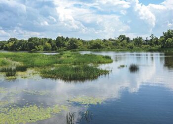 Innovative Lösung zur Bekämpfung von Gewässerschlammbildung