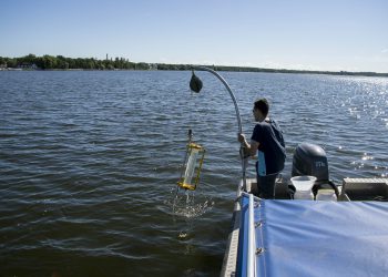 Probenahme auf dem Müggelsee in Berlin. Bild: Tom Shatwell, IGB