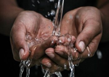 Drehkolbenpumpe für Tankreinigung