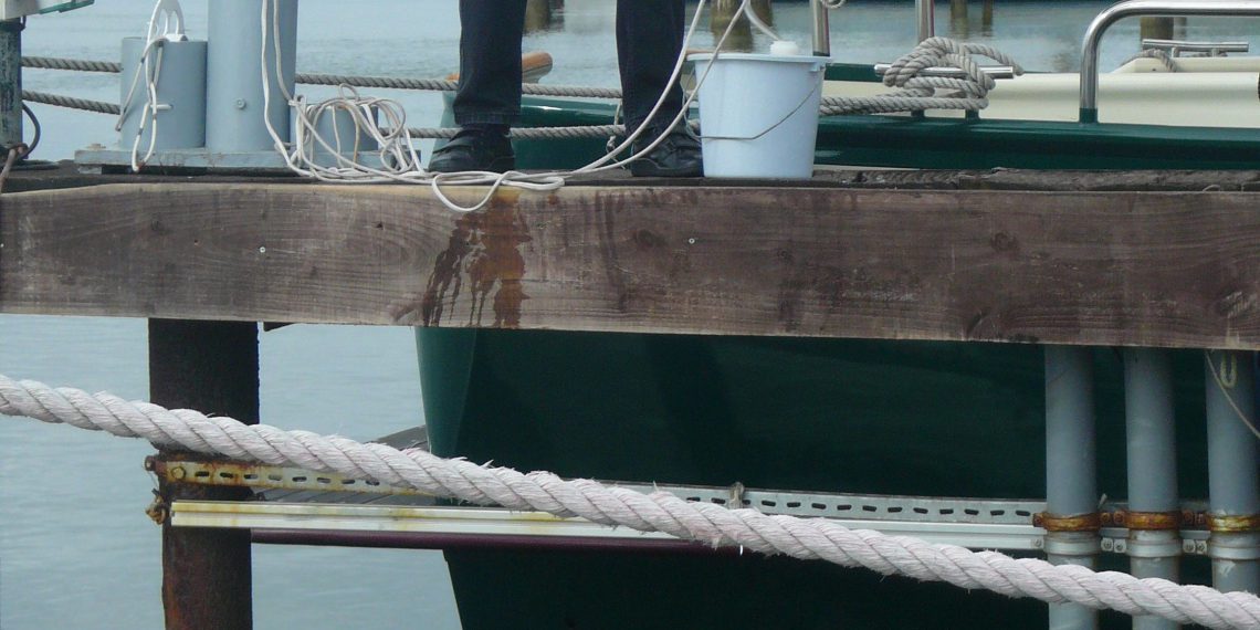 Dr. Rhena Schumann beobachtet vom Steg aus die Wassertrübung des Boddens und nimmt Proben. Bild: Universität Rostock/Lisa Rönspie