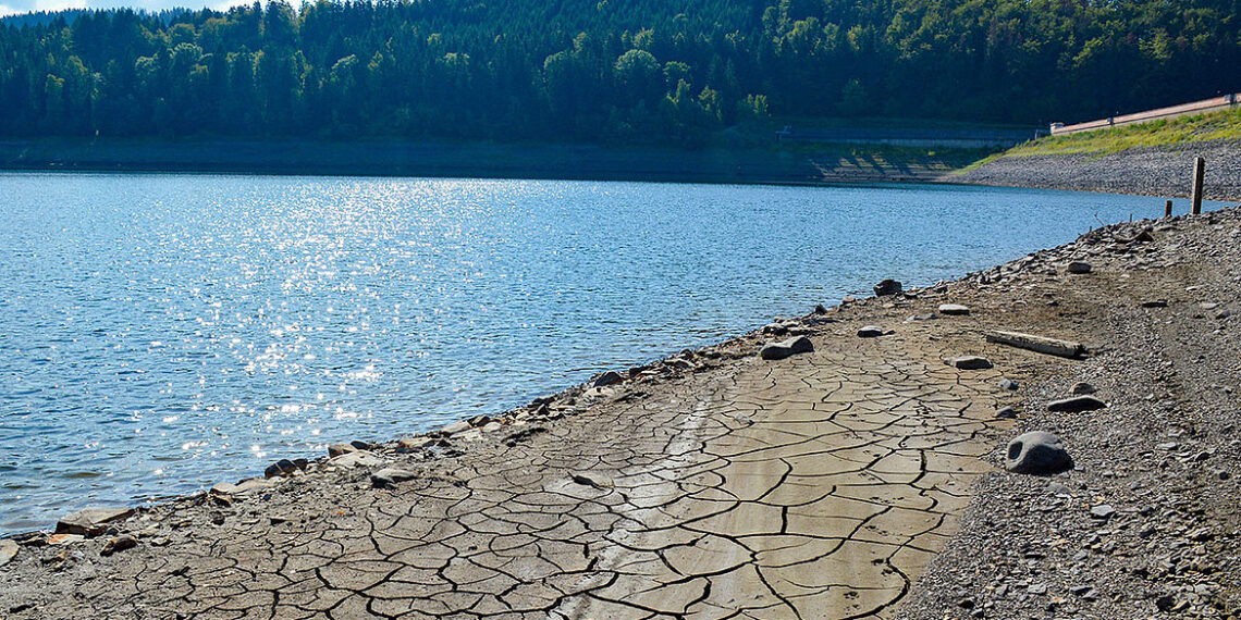 DVGW-Umfrage unter Wasserbetrieben