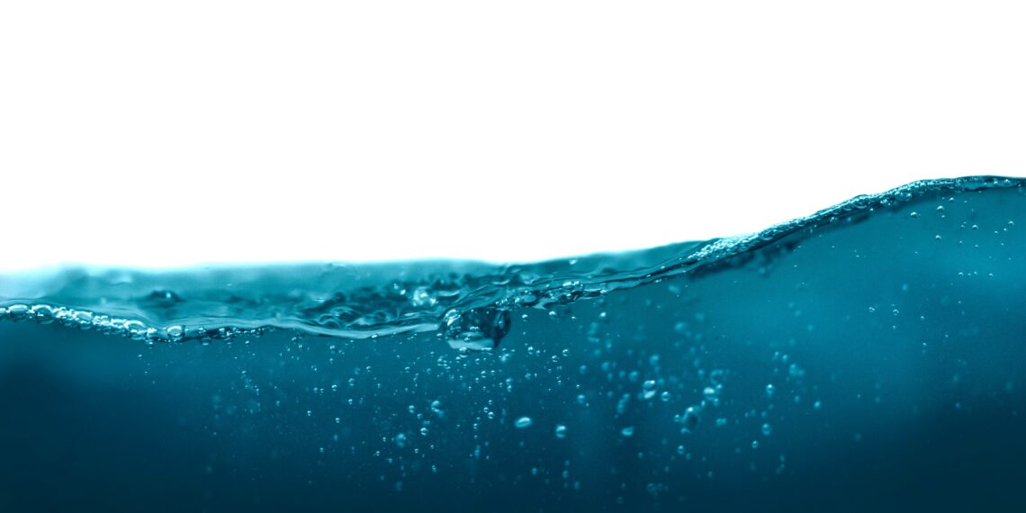 Messe erzeugt große Nachfrage