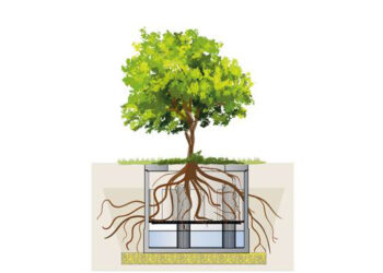 Neue Baumrigole für urbane blau-grün-graue Infrastruktur