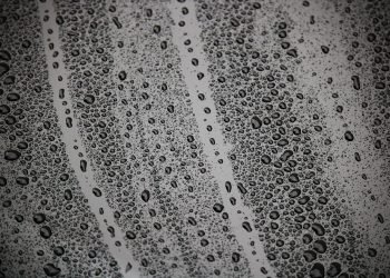 Sicher ist sicher und sauber ist besser: KanalReinigungsCongress 2018 bot Infos für die Praxis