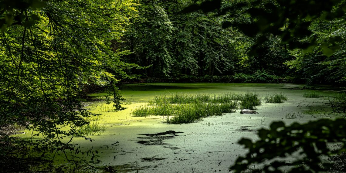 Verbindlichkeit und Tempo für den Ausstieg aus der Entwässerung