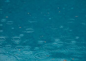 Doppelinterview zum Regenwassermanagement