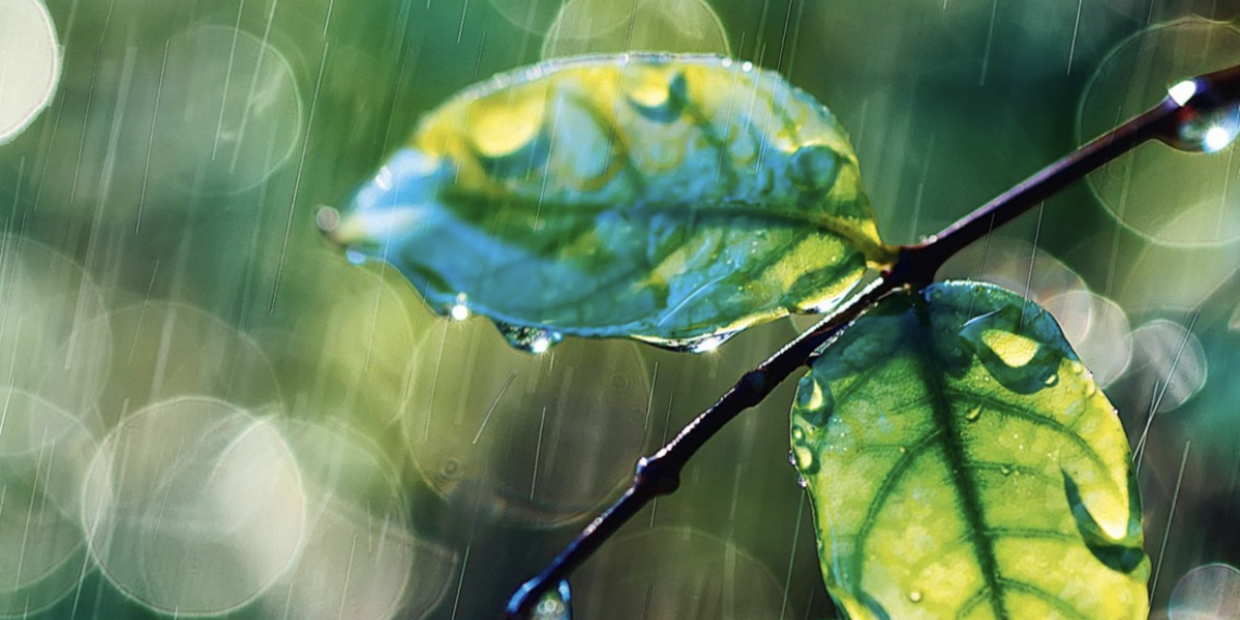 Neueste Trends und Praktiken für Stadthydrologie