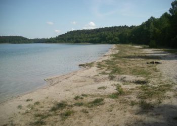 Das Südostufer des Fürstenseer Sees nach einer Phase starker Absenkung des Seespiegels.