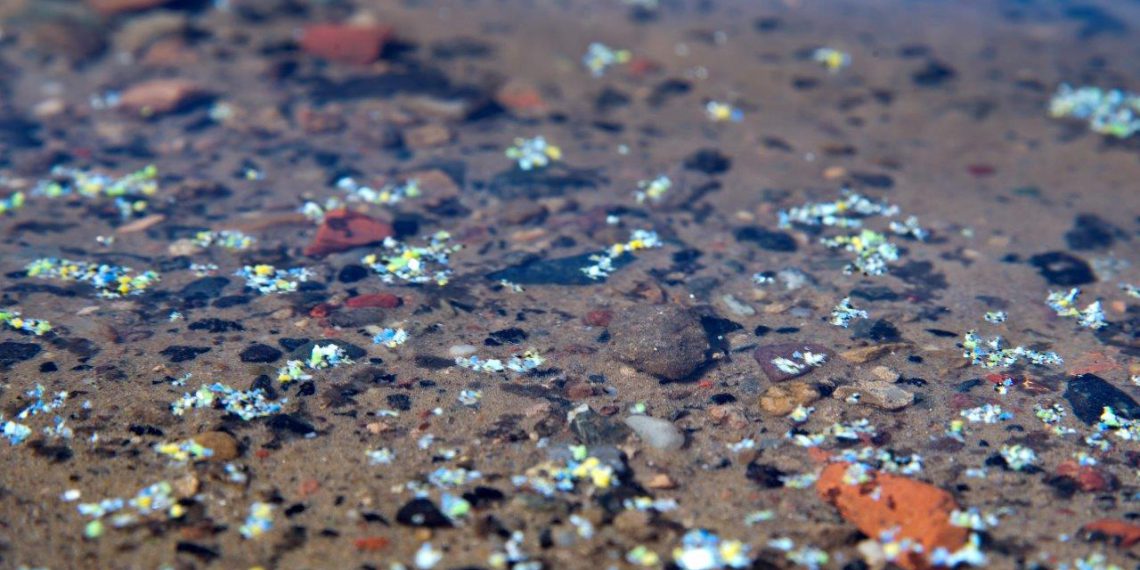 BAM-Forschungsprojekt will Mikroplastik im Wasser genauer nachweisen