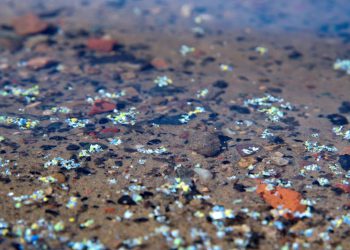 BAM-Forschungsprojekt will Mikroplastik im Wasser genauer nachweisen