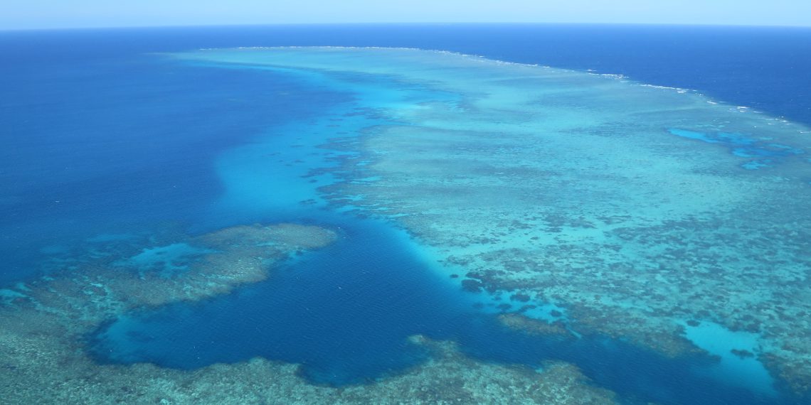 Das australische Great Barrier Reef ist eine der 258 untersuchten Ökoregionen im Meer.