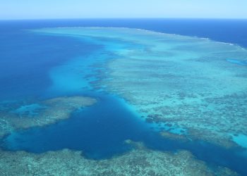 Das australische Great Barrier Reef ist eine der 258 untersuchten Ökoregionen im Meer.